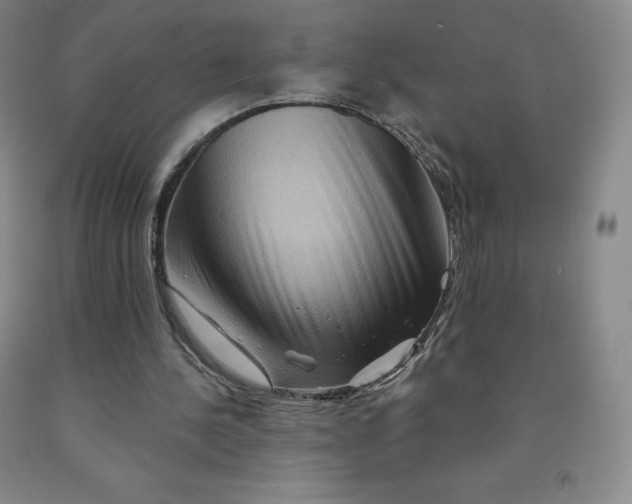 X0000092010244200709201536