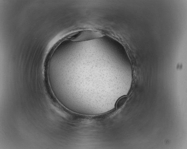 X0000092010246200709201536