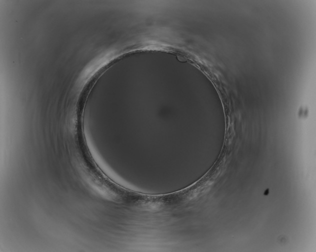 X0000092010247200709201536
