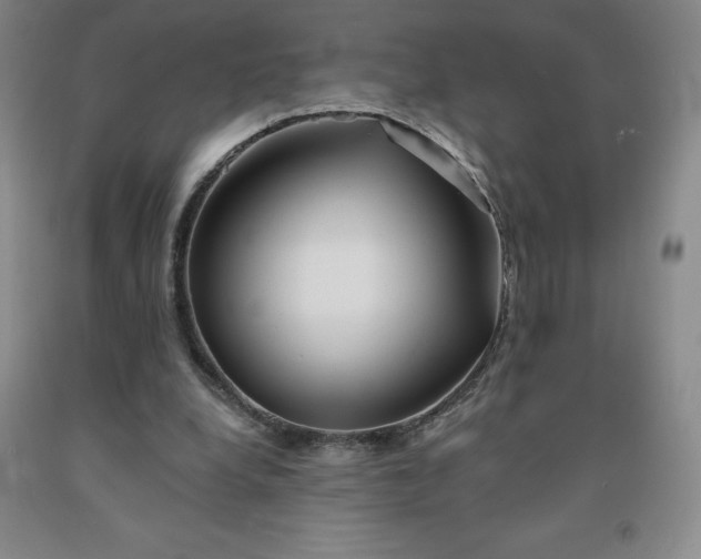 X0000092010248200709201536