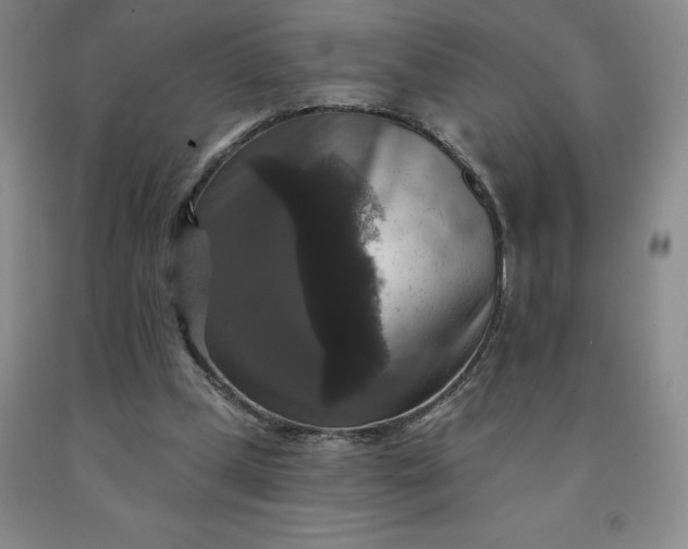 X0000092010249200709201536