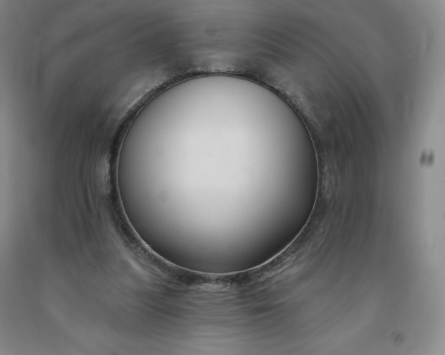 X0000092010251200709201536
