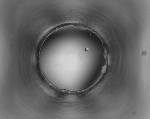 X0000092010252200709201536