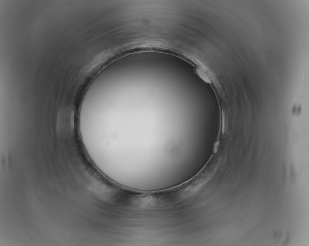 X0000092010253200709201536