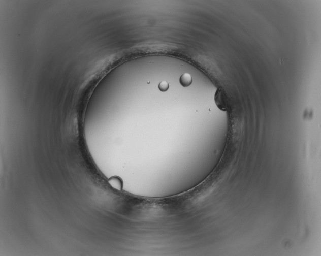 X0000092010254200709201536