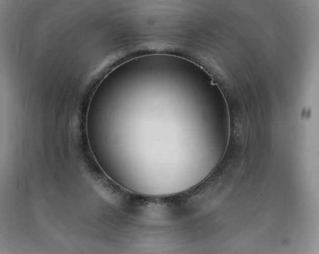 X0000092010256200709201536