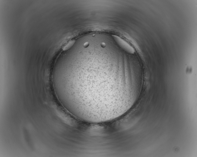 X0000092010257200709201536