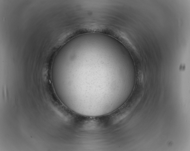 X0000092010259200709201536