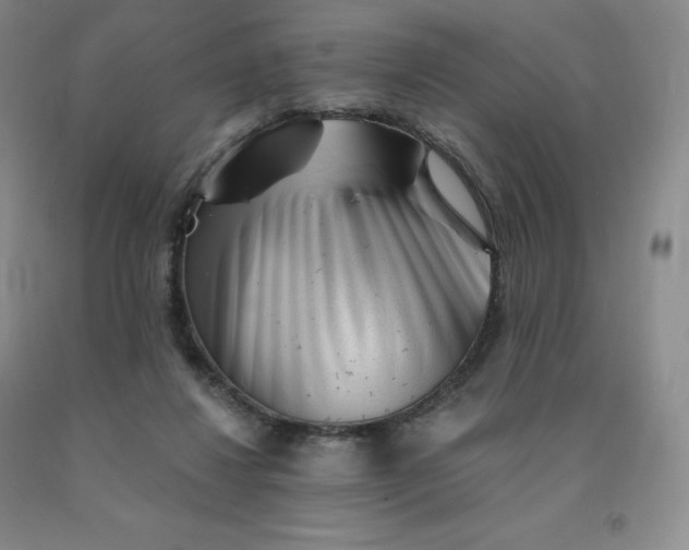 X0000092010260200709201537