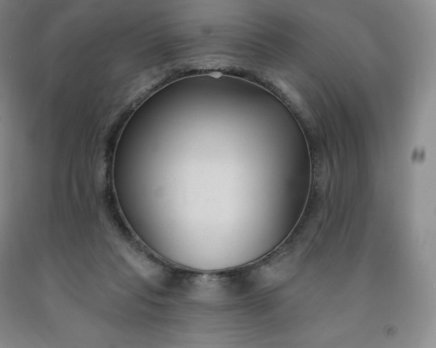 X0000092010261200709201537