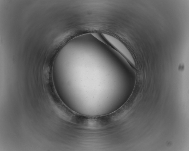 X0000092010264200709201537