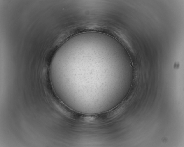 X0000092010265200709201537
