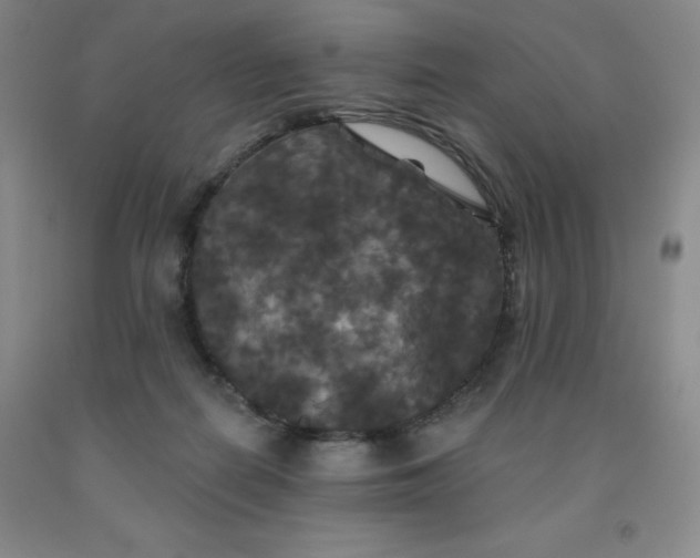 X0000092010266200709201537