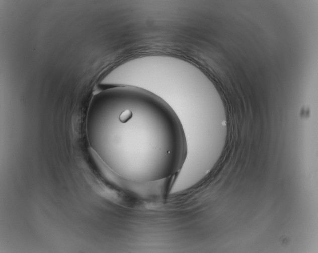 X0000092010268200709201537