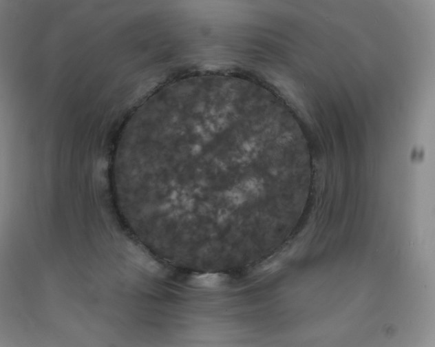 X0000092010269200709201537