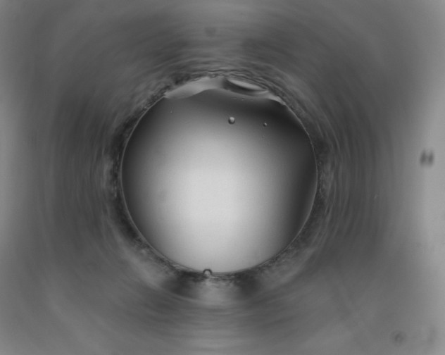 X0000092010270200709201537