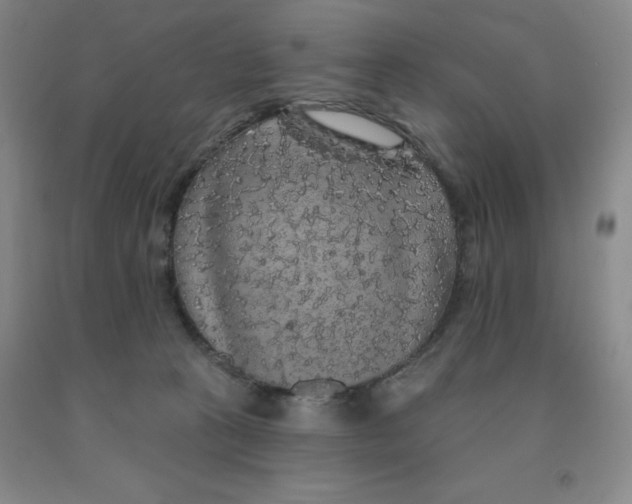 X0000092010273200709201537