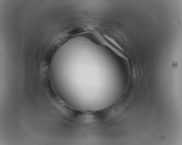 X0000092010276200709201537