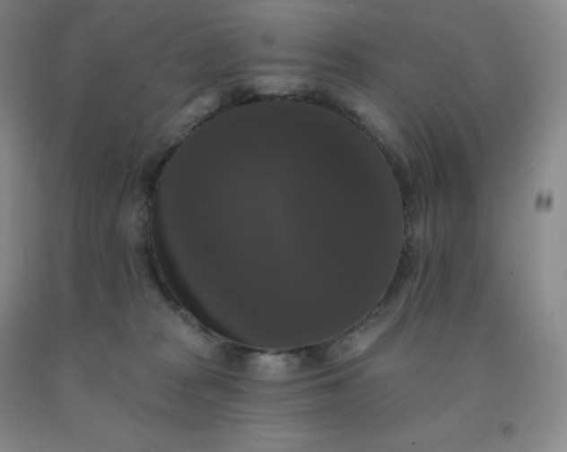 X0000092010277200709201537