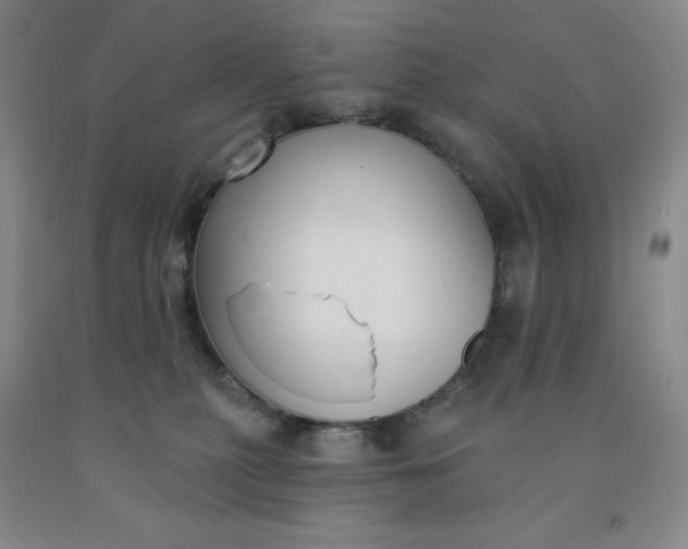 X0000092010279200709201537