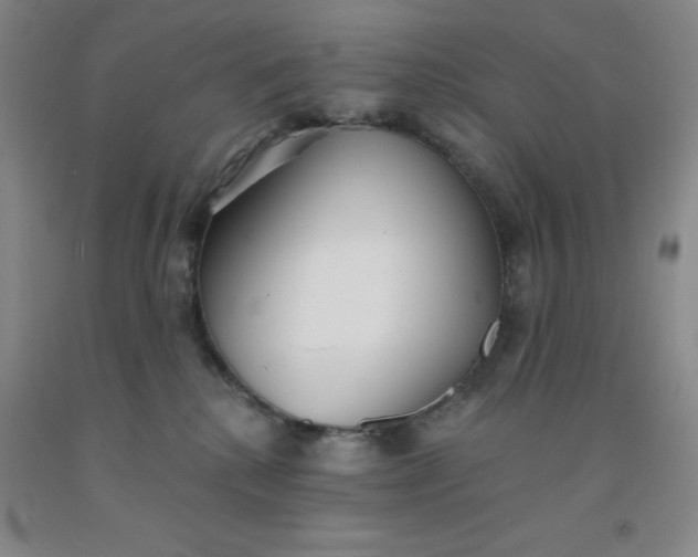 X0000092010280200709201537