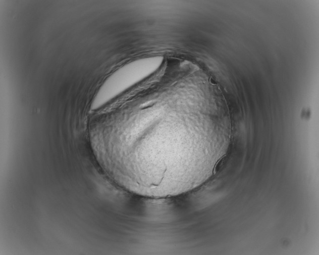 X0000092010281200709201537