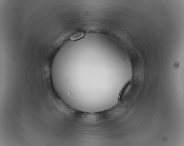 X0000092010282200709201537