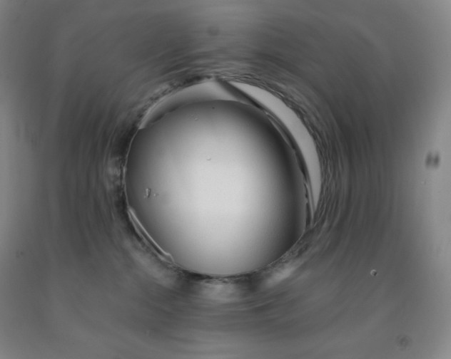 X0000092010284200709201537