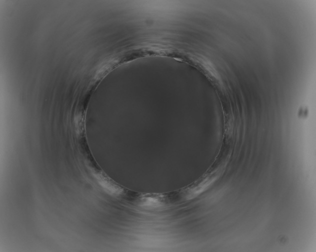 X0000092010285200709201537