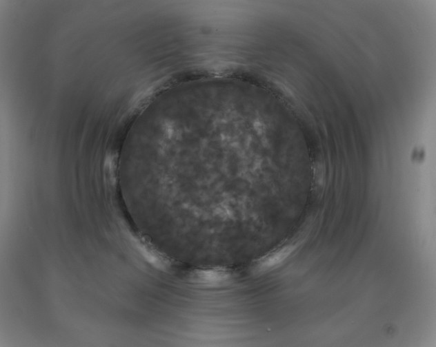 X0000092010286200709201537