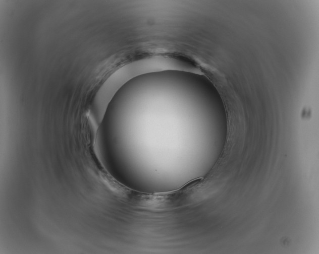 X0000092010288200709201537