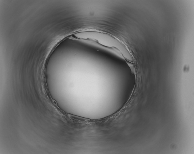 X0000092010289200709201536