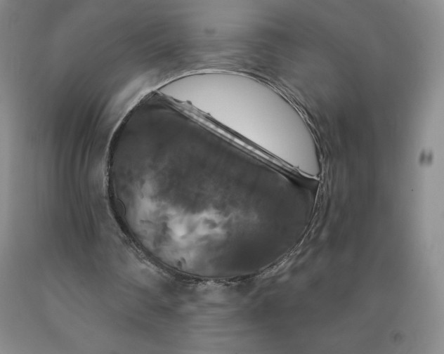 X0000092010290200709201536