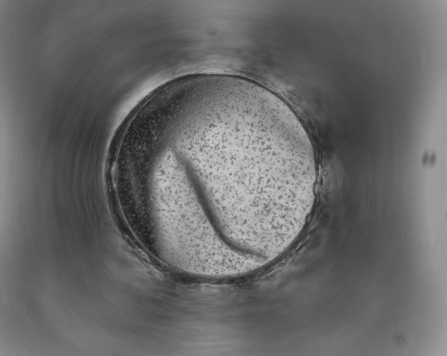 X0000092010292200709201536