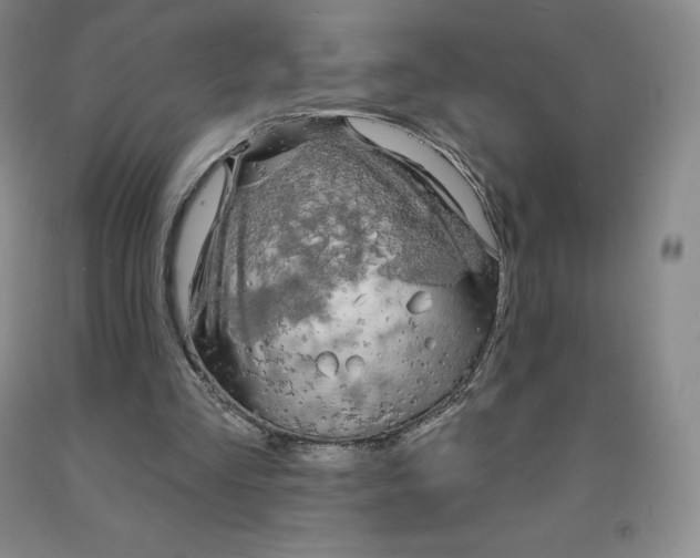 X0000092010293200709201536