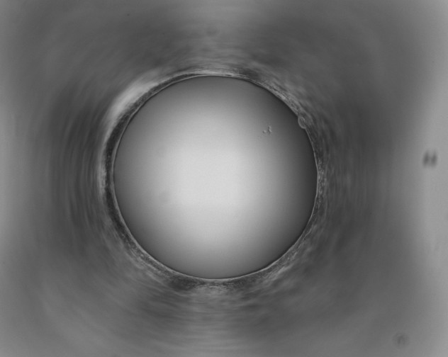 X0000092010294200709201536