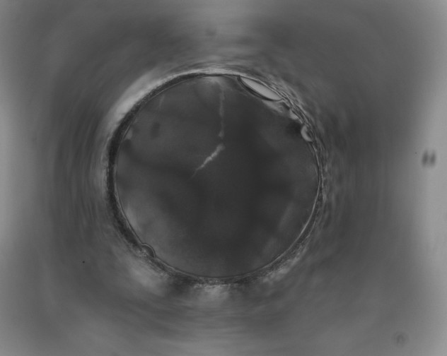 X0000092010295200709201536