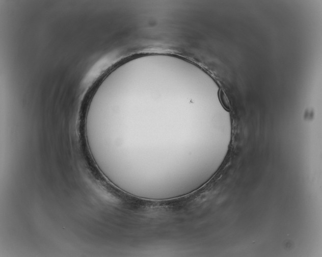 X0000092010296200709201536