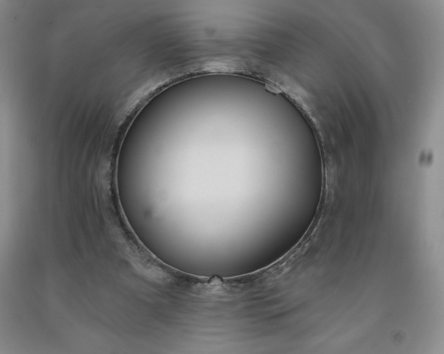 X0000092010297200709201536