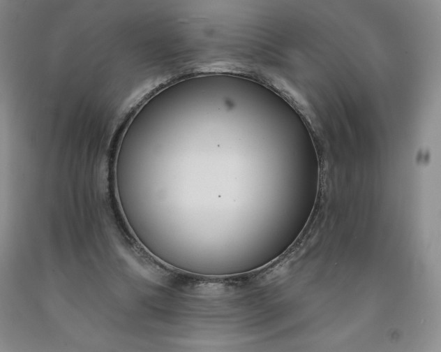 X0000092010298200709201536