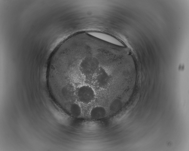 X0000092010299200709201536