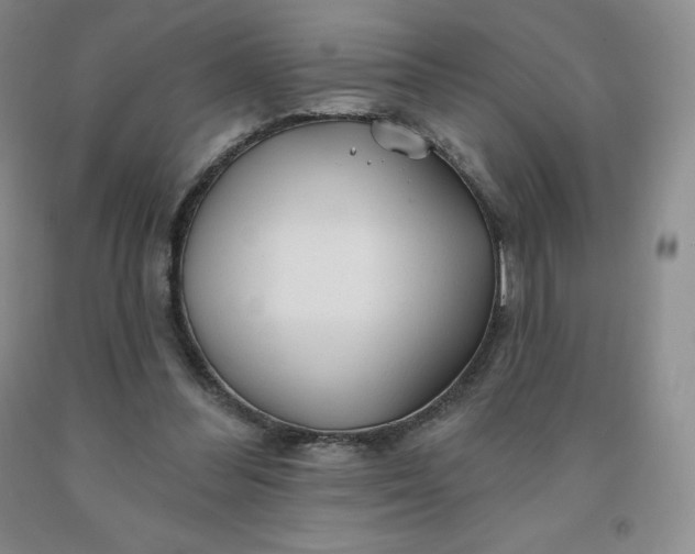 X0000092010300200709201536
