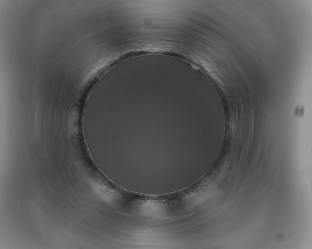 X0000092010303200709201536