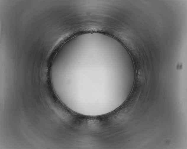 X0000092010304200709201536