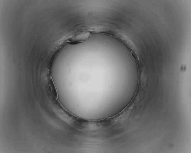 X0000092010305200709201536