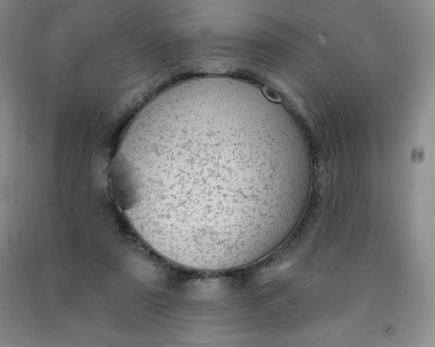 X0000092010307200709201536