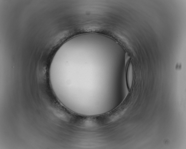 X0000092010308200709201536