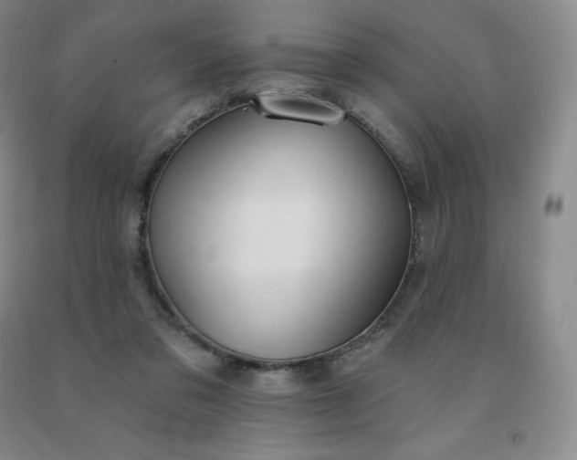 X0000092010309200709201536