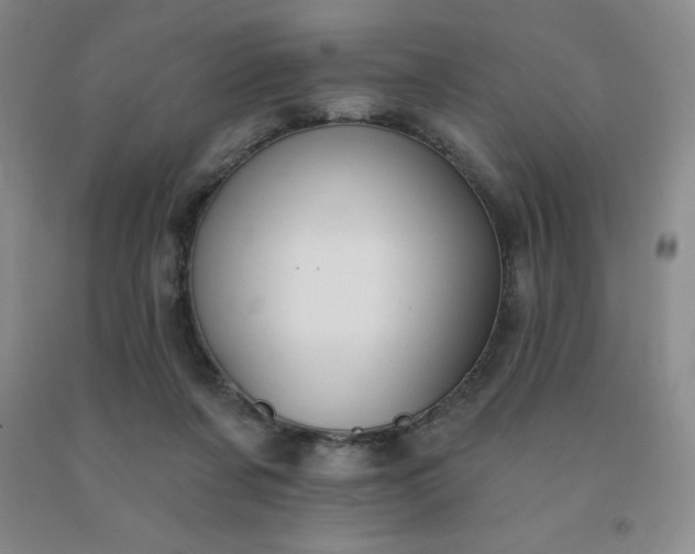 X0000092010311200709201536