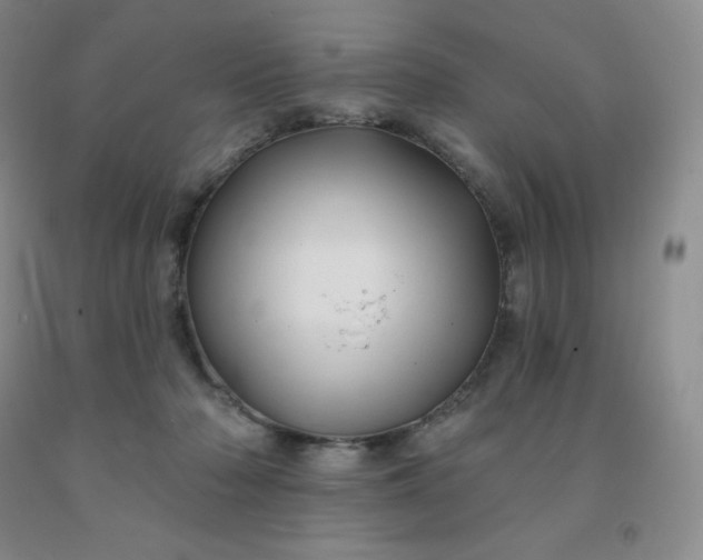 X0000092010318200709201536